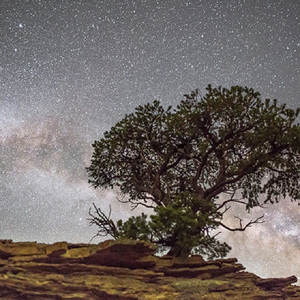 制服丝袜第十页
